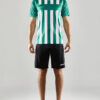 1910175-0-1793010253 PROGRESS 2.0 STRIPE JERSEY