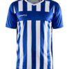 1910175-1302-1390347779 PROGRESS 2.0 STRIPE JERSEY
