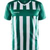 1910175-1303-1045589427 PROGRESS 2.0 STRIPE JERSEY