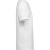 3410010-1191-1012393445 T-SHIRT REGULAR FIT (OCS)