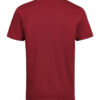 3410010-1196-113061306 T-SHIRT REGULAR FIT (OCS)