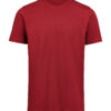 3410010-1196-908293801 T-SHIRT REGULAR FIT (OCS)