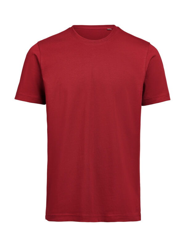 3410010-1196-908293801 T-SHIRT REGULAR FIT (OCS)