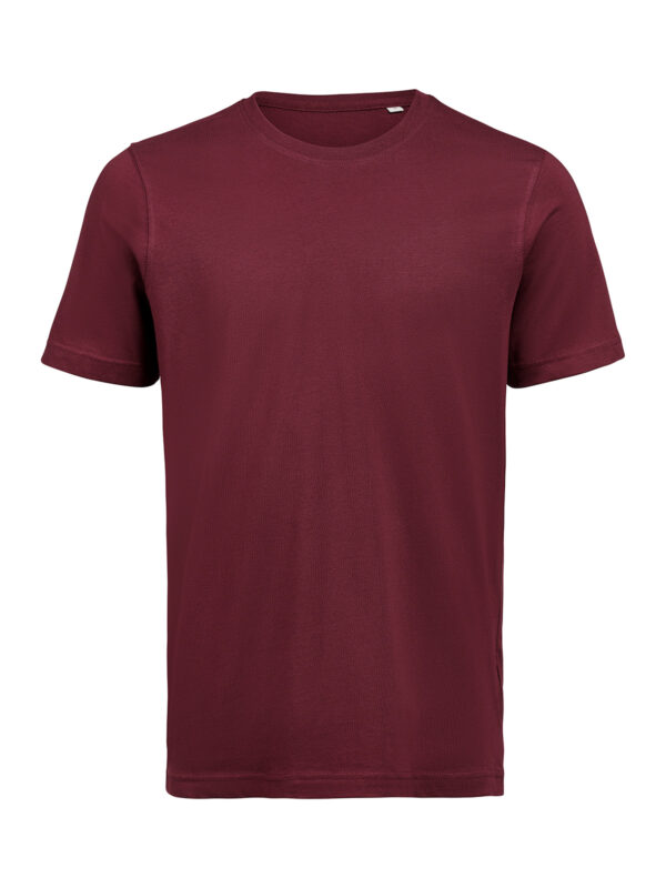 3410010-1197-1654805620 T-SHIRT REGULAR FIT (OCS)