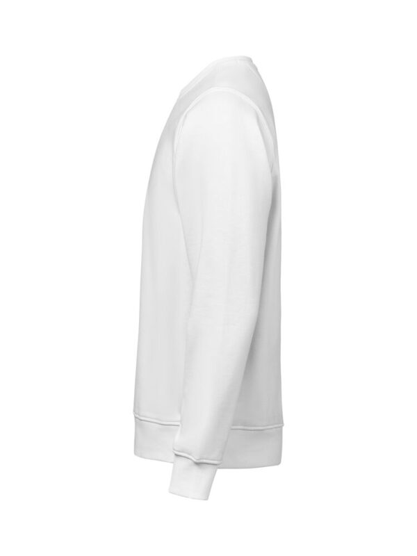 3430010-1191-1098224489 CREWNECK REGULAR FIT (OCS-RCS)
