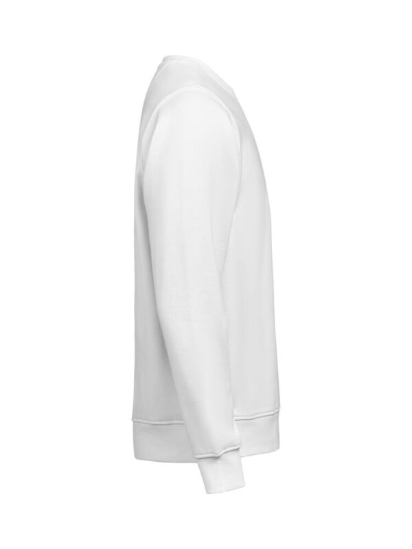 3430010-1191-1548966298 CREWNECK REGULAR FIT (OCS-RCS)