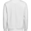 3430010-1191-1659897355 CREWNECK REGULAR FIT (OCS-RCS)