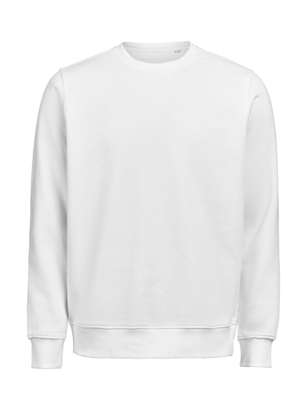 3430010-1191-1762230274 CREWNECK REGULAR FIT (OCS-RCS)