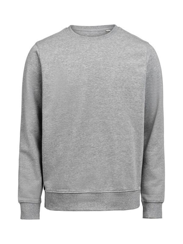 3430010-1192-268958173 CREWNECK REGULAR FIT (OCS-RCS)