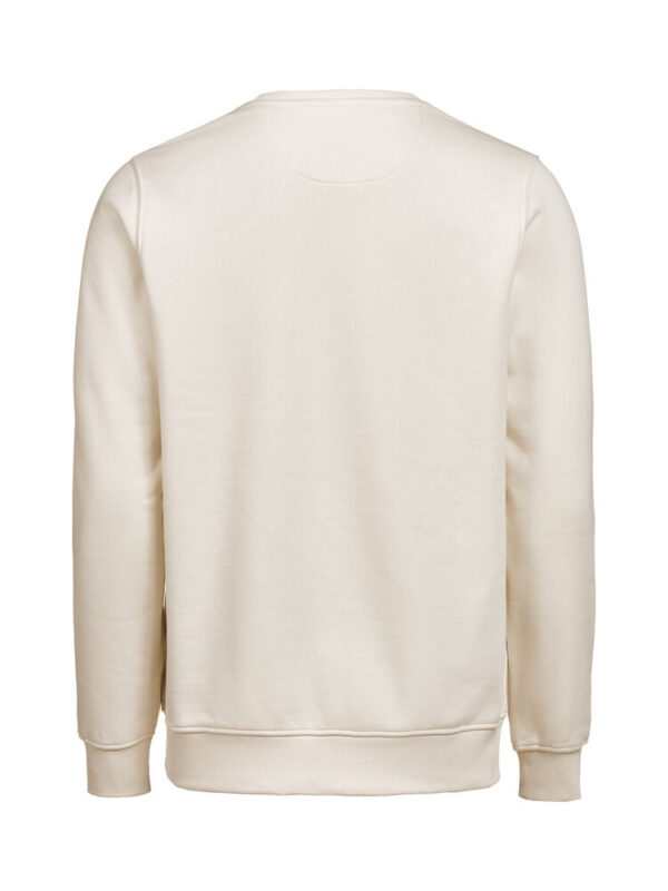 3430010-1193-1132198020 CREWNECK REGULAR FIT (OCS-RCS)