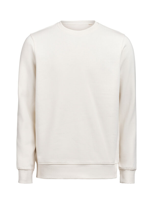 3430010-1193-1474559138 CREWNECK REGULAR FIT (OCS-RCS)