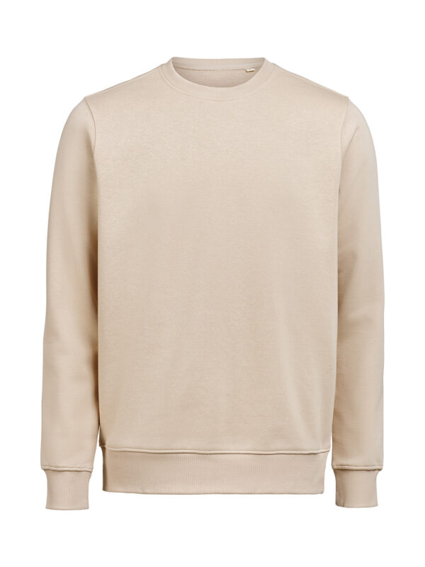 3430010-1194-1114682088 CREWNECK REGULAR FIT (OCS-RCS)