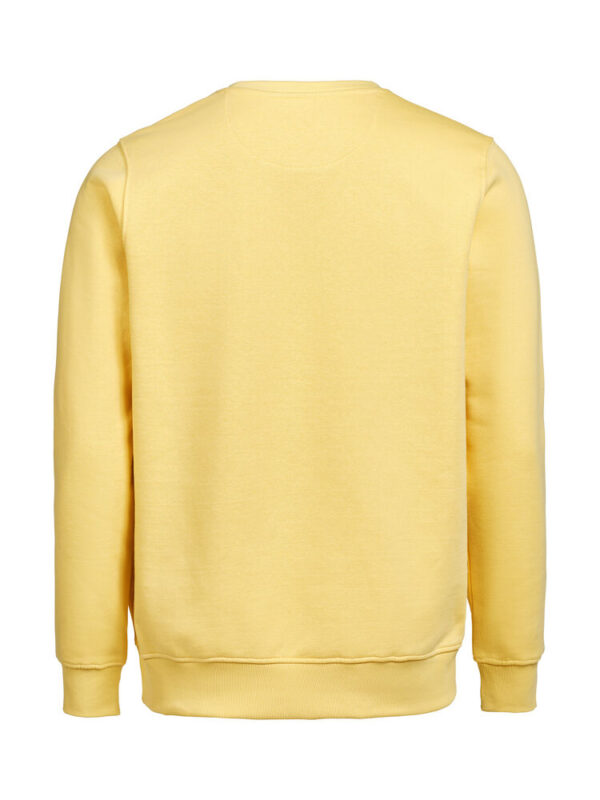 3430010-1195-1379955421 CREWNECK REGULAR FIT (OCS-RCS)