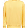 3430010-1195-1888076872 CREWNECK REGULAR FIT (OCS-RCS)