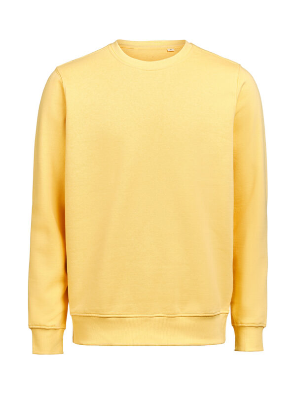 3430010-1195-1888076872 CREWNECK REGULAR FIT (OCS-RCS)