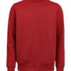 3430010-1196-1788683652 CREWNECK REGULAR FIT (OCS-RCS)