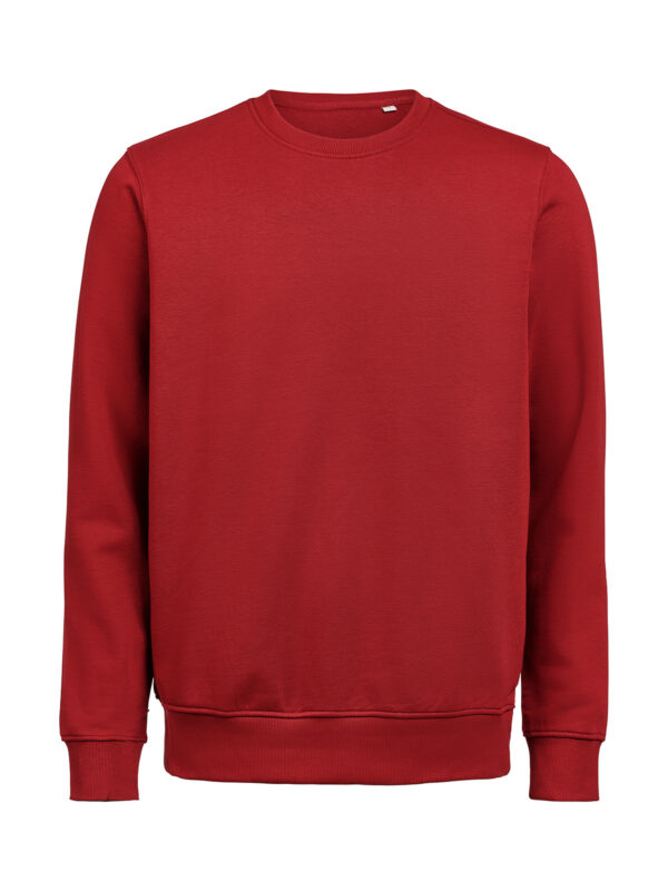 3430010-1196-1788683652 CREWNECK REGULAR FIT (OCS-RCS)