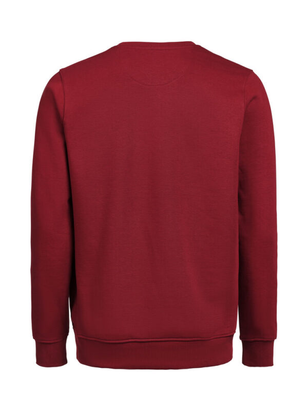 3430010-1196-526153166 CREWNECK REGULAR FIT (OCS-RCS)