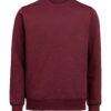 3430010-1197-361106669 CREWNECK REGULAR FIT (OCS-RCS)