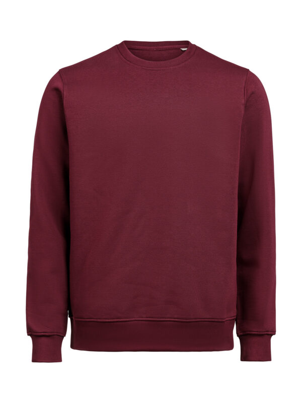 3430010-1197-361106669 CREWNECK REGULAR FIT (OCS-RCS)