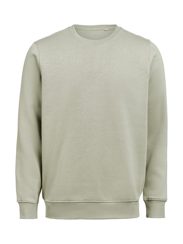 3430010-1202-2087456974 CREWNECK REGULAR FIT (OCS-RCS)