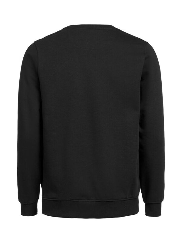 3430010-1204-1554902134 CREWNECK REGULAR FIT (OCS-RCS)