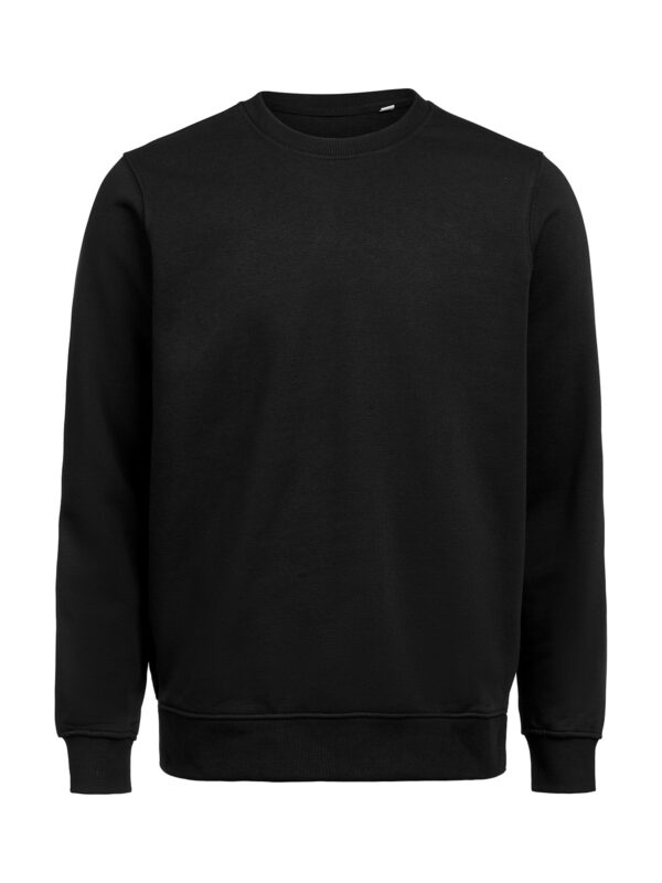 3430010-1204-200617077 CREWNECK REGULAR FIT (OCS-RCS)