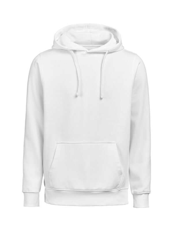 3440010-1191-1411858408 HOODIE REGULAR FIT (OCS-RCS)