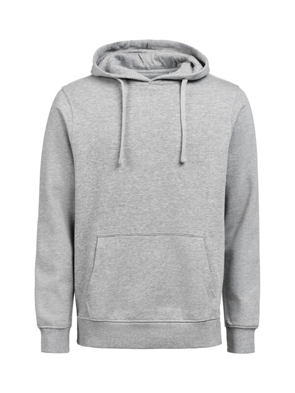 3440010-1192-730817882 HOODIE REGULAR FIT (OCS-RCS)