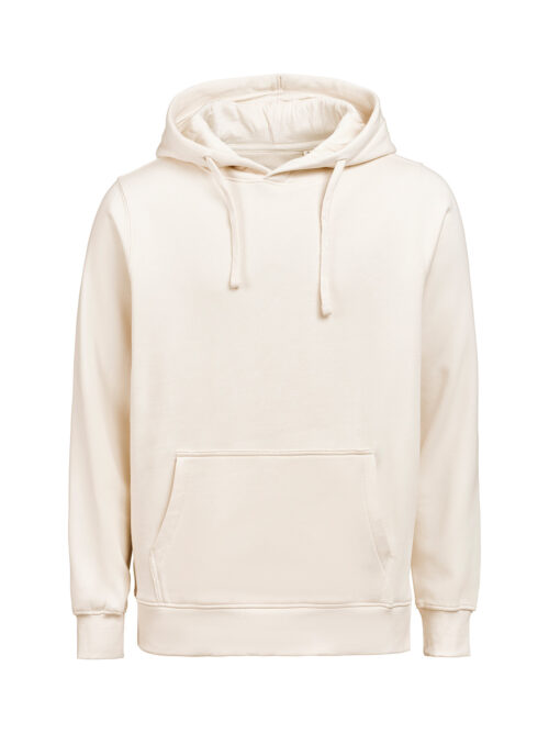 3440010-1193-726213231 HOODIE REGULAR FIT (OCS-RCS)