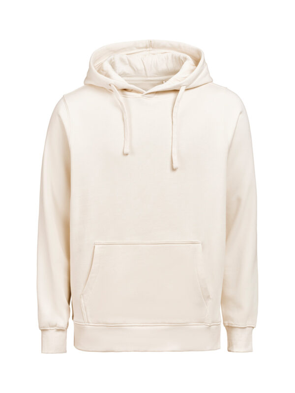 3440010-1193-726213231 HOODIE REGULAR FIT (OCS-RCS)