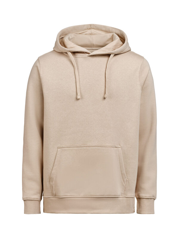 3440010-1194-449422991 HOODIE REGULAR FIT (OCS-RCS)