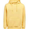 3440010-1195-353341131 HOODIE REGULAR FIT (OCS-RCS)