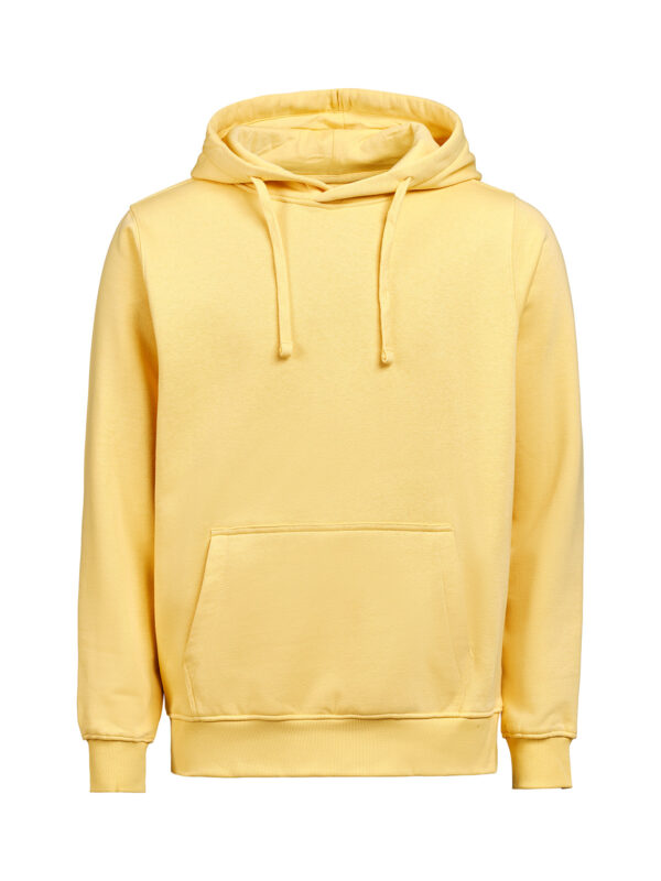 3440010-1195-353341131 HOODIE REGULAR FIT (OCS-RCS)