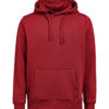 3440010-1196-2098832898 HOODIE REGULAR FIT (OCS-RCS)