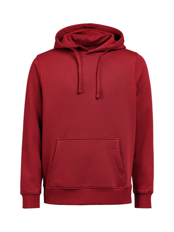 3440010-1196-2098832898 HOODIE REGULAR FIT (OCS-RCS)