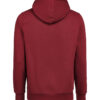 3440010-1196-737002367 HOODIE REGULAR FIT (OCS-RCS)