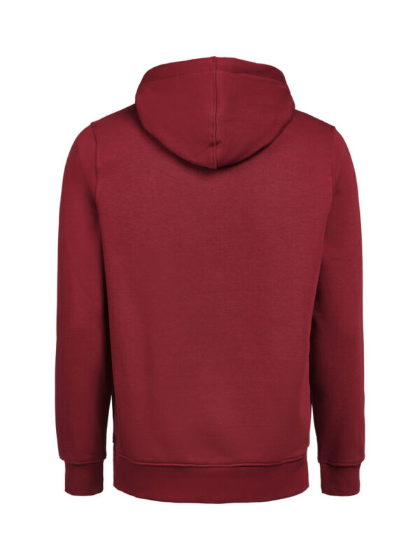 3440010-1196-737002367 HOODIE REGULAR FIT (OCS-RCS)