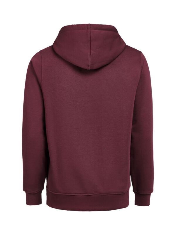 3440010-1197-1818382868 HOODIE REGULAR FIT (OCS-RCS)