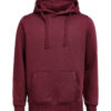 3440010-1197-985649790 HOODIE REGULAR FIT (OCS-RCS)