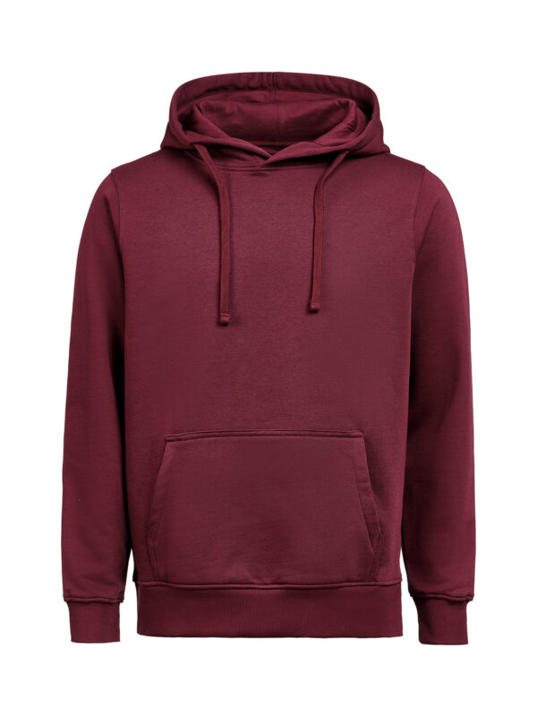 3440010-1197-985649790 HOODIE REGULAR FIT (OCS-RCS)