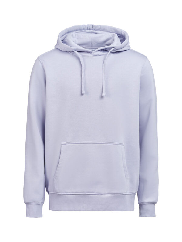 3440010-1198-1632170317 HOODIE REGULAR FIT (OCS-RCS)
