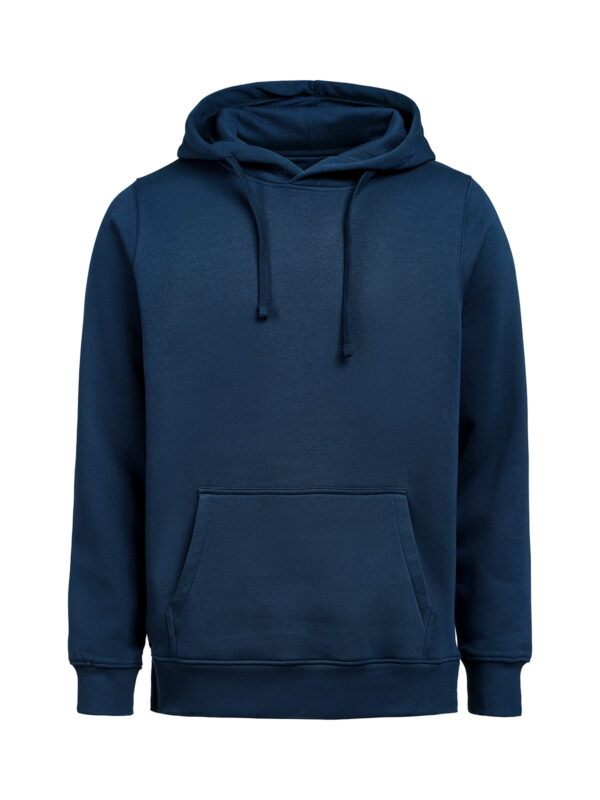 3440010-1200-842424365 HOODIE REGULAR FIT (OCS-RCS)