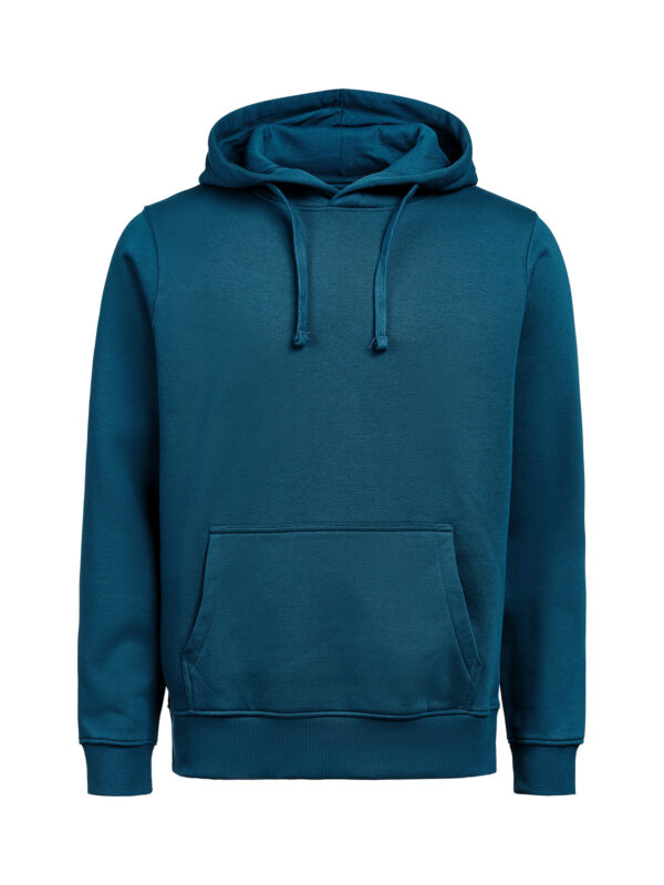 3440010-1201-721165670 HOODIE REGULAR FIT (OCS-RCS)