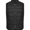 351484-1051-1544027642 MOUNT ADAMS LIGHT VEST